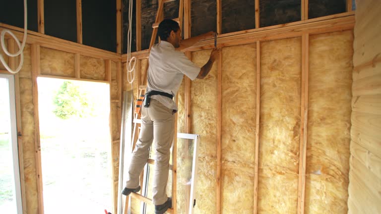 Best Blown-In Insulation  in Oberlin, LA